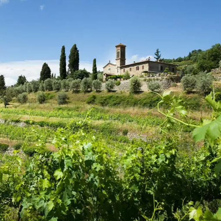 Querciabella 2